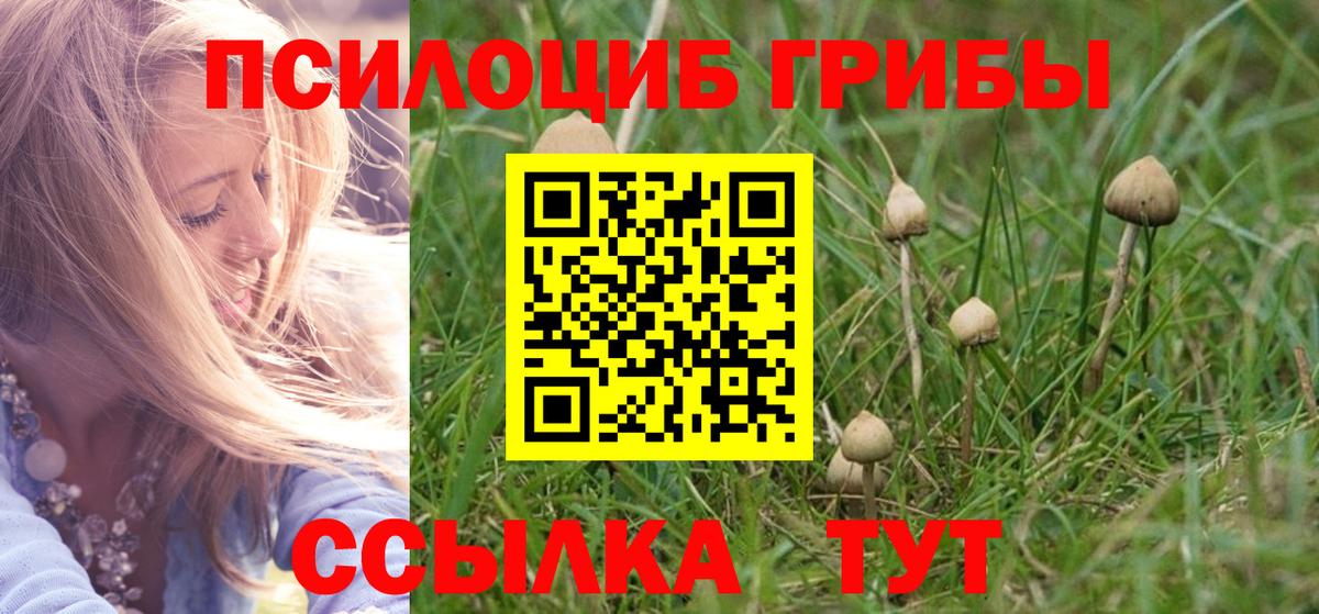 Псилоцибиновые грибы Magic Shrooms Ангарск