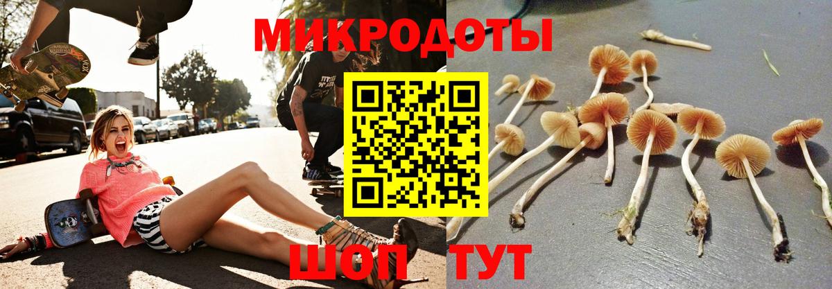 Галлюциногенные грибы ЛСД  Галлюциногенные грибы Magic Shrooms  Ангарск  Вход с VPN 